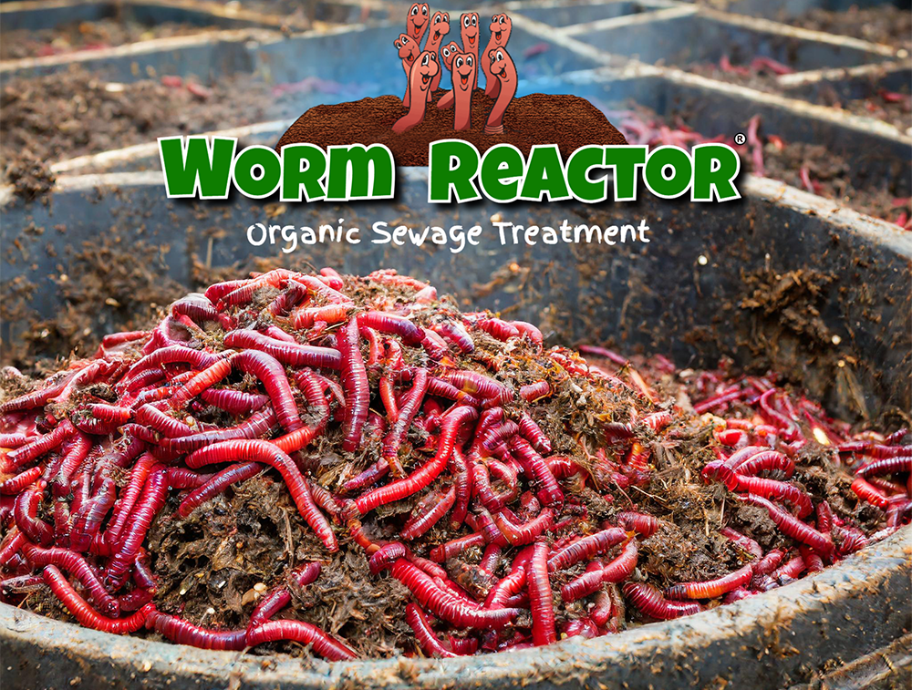 Eco System organic sewage system. . Inside Worm Reactor