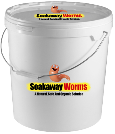 Soakaway Worms Bucket