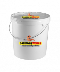 Soakaway Worms Bucket Woocommerce